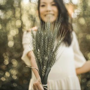 Meet your Posher, Ntsaia and Nouci